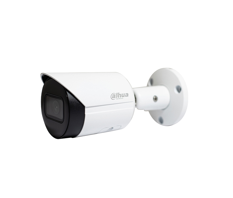 DH-IPC-HFW2431SP-S-S2